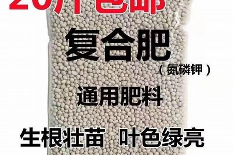 氟虫氰与吡虫啉做小麦拌种剂哪个有优势