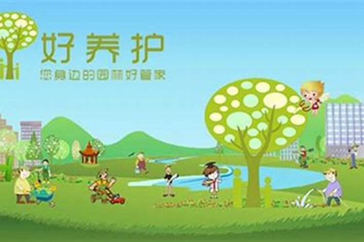 水溶肥稀释800倍是多少水