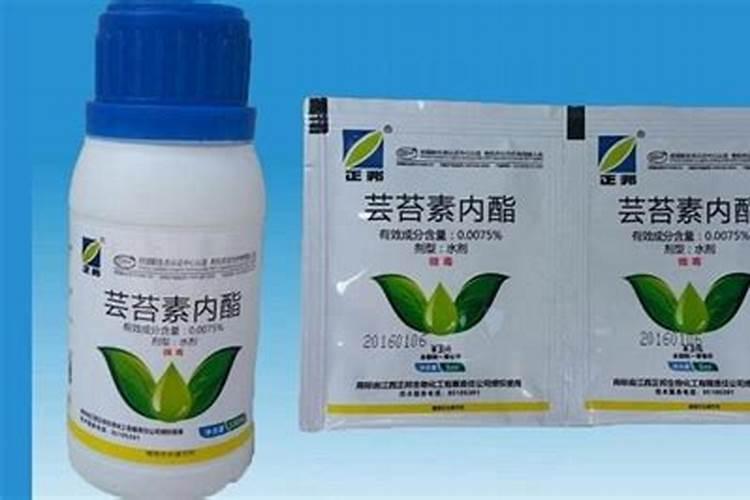 钼肥和硼肥可以一起用吗