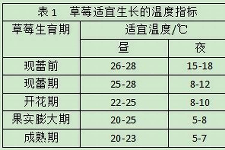 每次种植草莓都会因为病害让收益变低,该怎么办才好？