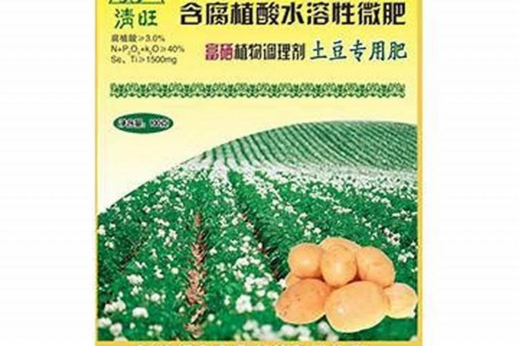 硼肥在杨梅膨果时期能增加种子的饱满度吗 硼肥怎么施效果好