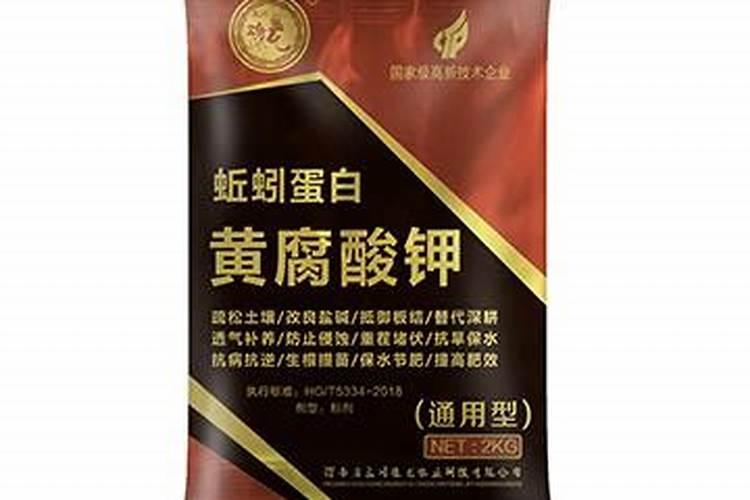 黑法师怎么正确的换盆
