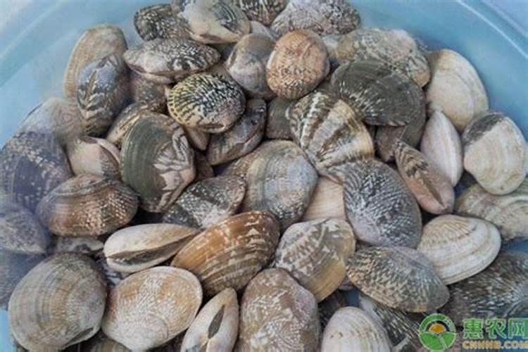 乙莠除草剂苗后能打吗,打后遇雨怎么办