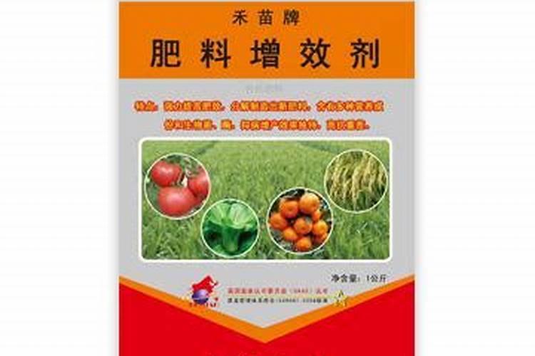 水稻怎么施肥