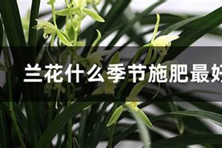 钾盐可以当食用盐吗