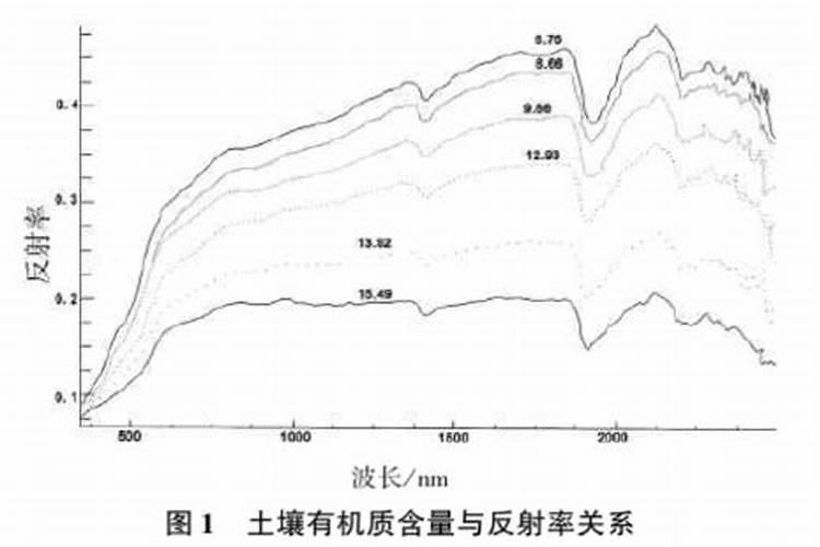 黄栌养殖方法及注意事项