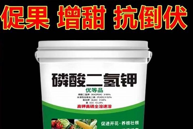 什么可以当花肥料用,养花通用肥料