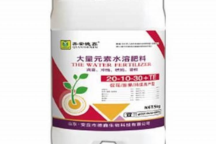 银杏树干长粗施什么肥