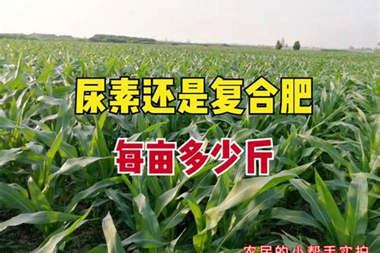 叶面肥哪个牌子好？