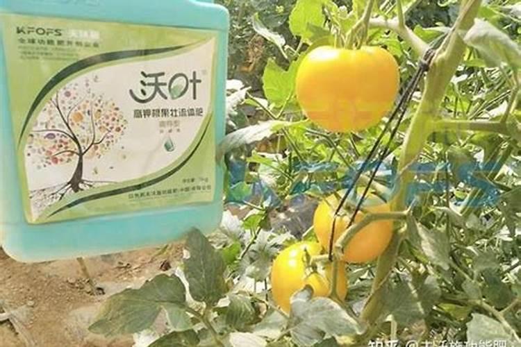 氨基酸水溶肥料的功效与作用