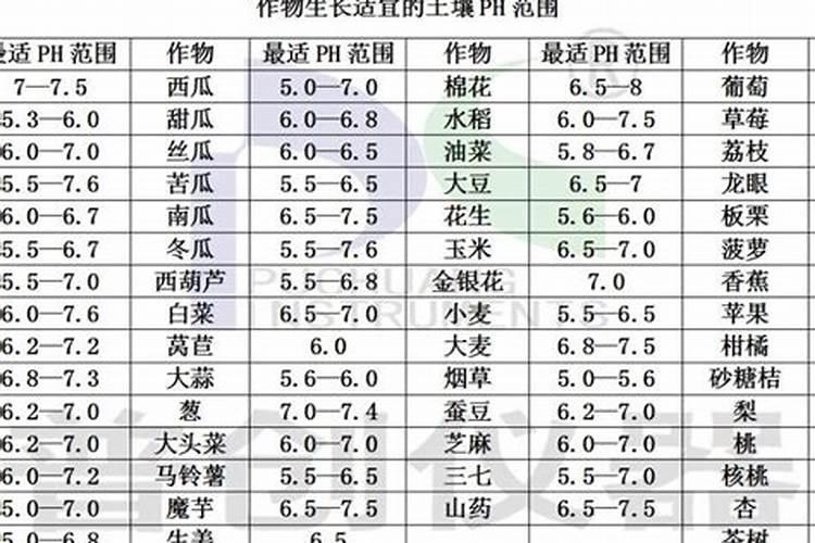 磷肥用于哪些花