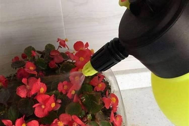 打除草剂后几天可以浇水？