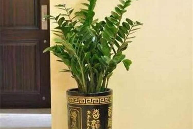 种植脐橙如何施肥效果更好？
