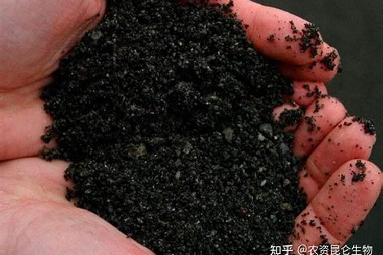 氮肥的施用有哪些要求？