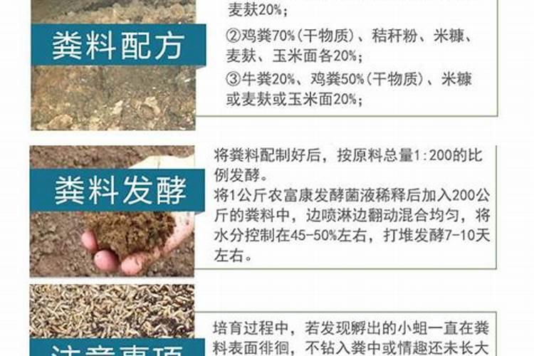 粪发酵过有什么作用