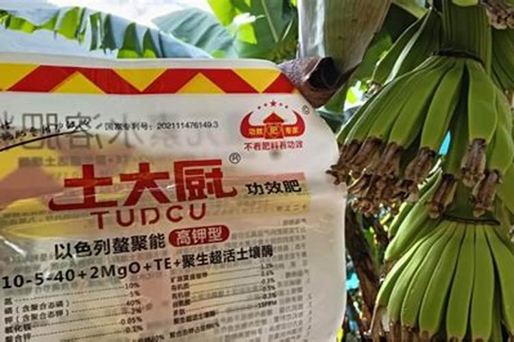 水溶肥桃树使用方法