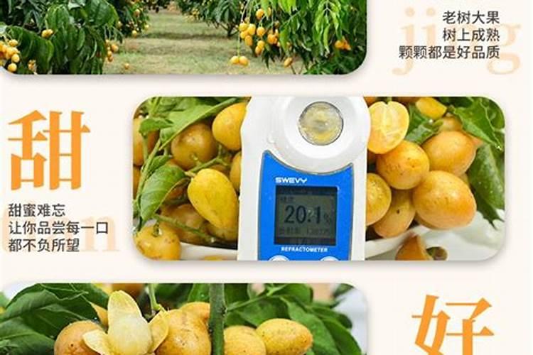 家里的果树到了膨果期了,该施什么肥？