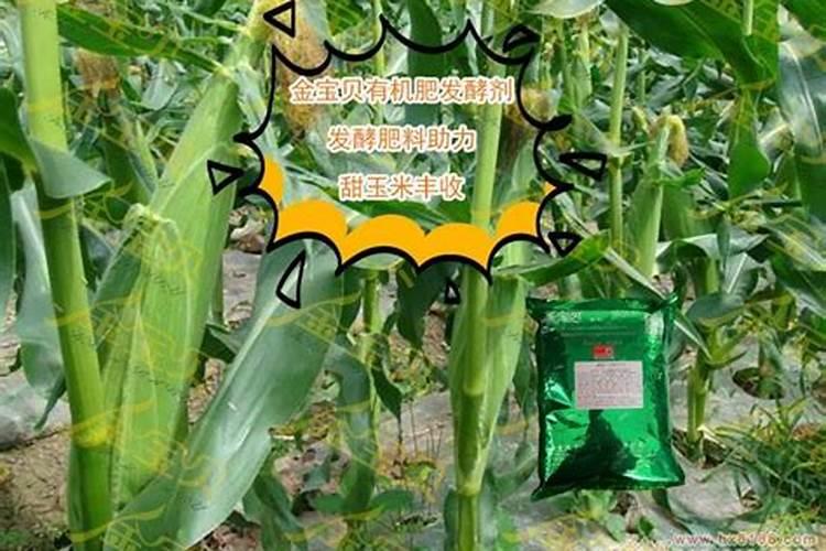 玉米追肥是雨前还是雨后好。最佳追肥时间是什么时候？