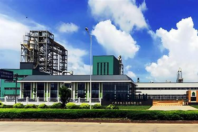 一棵15公分口径速生桉树多少钱？