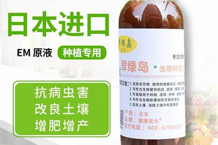 果树缺钙用什么肥料最适合(果树需补什么钙肥最好)