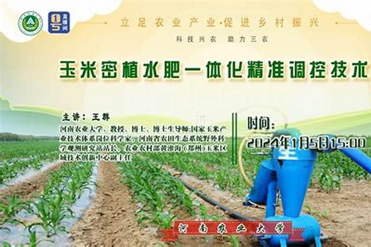 地膜玉米播种的方法？