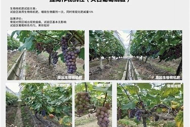 绿豆饹馇有哪些详细的做法？