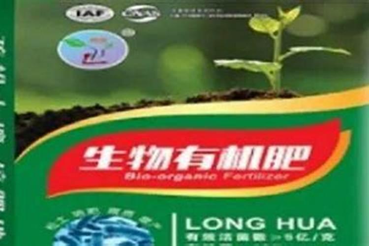 常见天南星科观赏植物分类(多图长文)