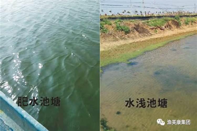 硝硫基肥料好还是硫酸钾好