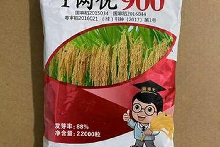 水稻种植如何合理施用钾肥呢？
