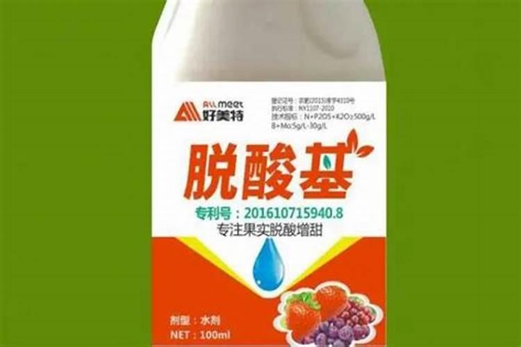 菠萝种植几年才能结果