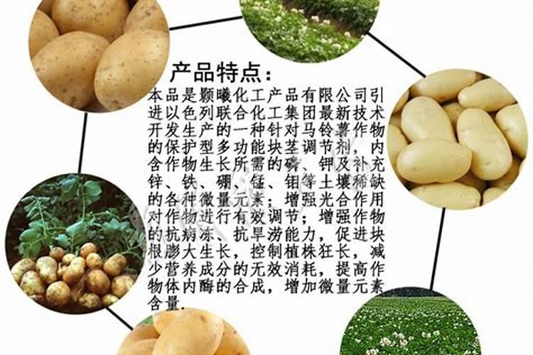 土豆用什么肥料最佳