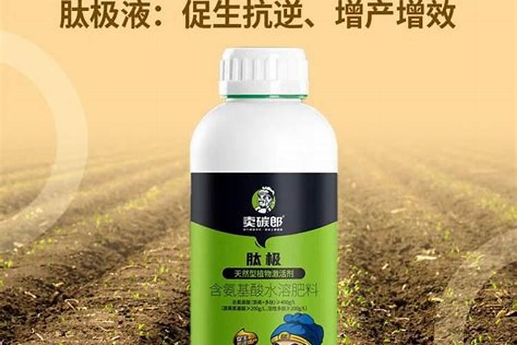 玉米种子有包衣,还需要拌种吗？拌种不能盲目,分享拌种方法
