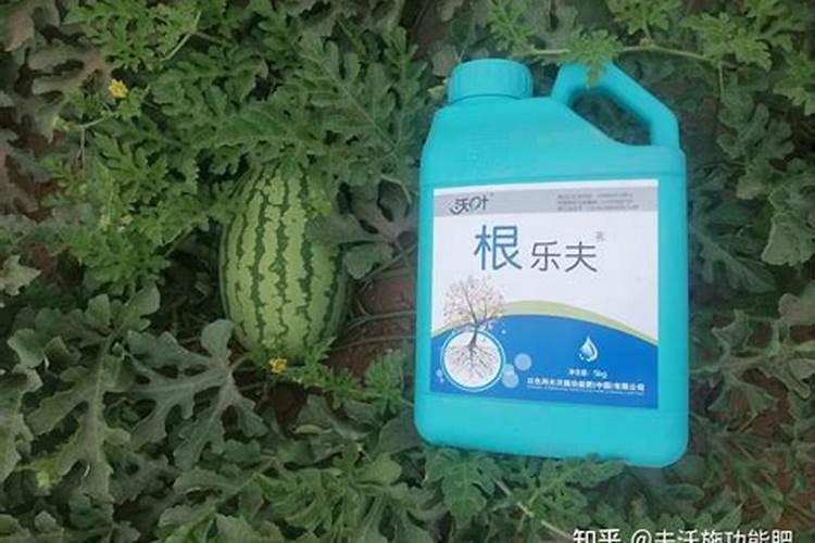 大棚西瓜用的冲施肥是多少次性投入还是一次性投入？