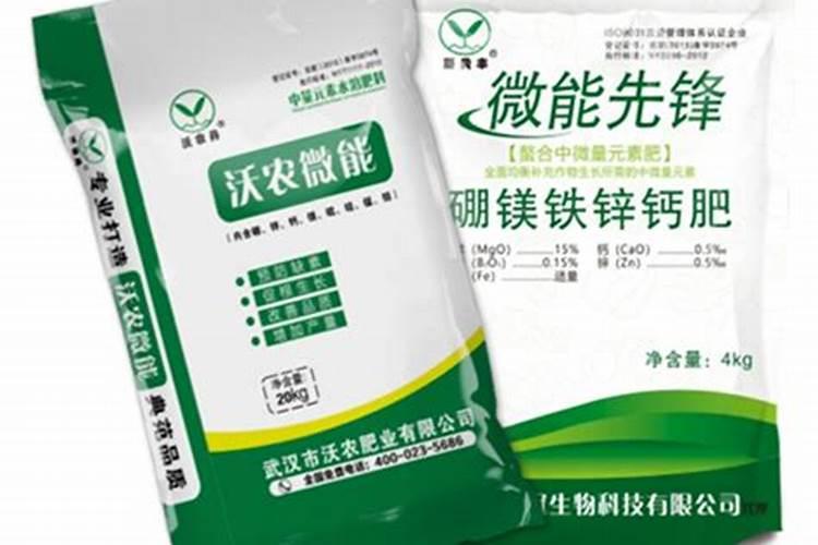 脐橙有哪些专用肥 如何进行施肥
