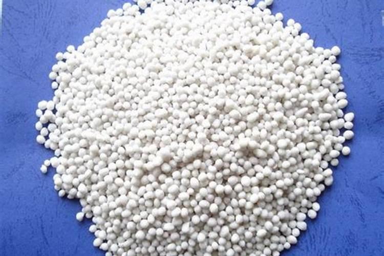种玫瑰花用什么肥料最好