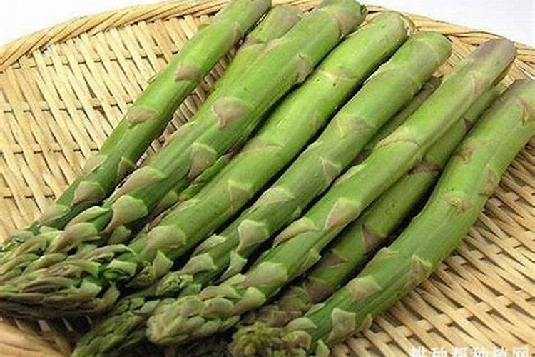 葱姜蒜先锋用在大蒜上什么阶段 喷洒最佳？
