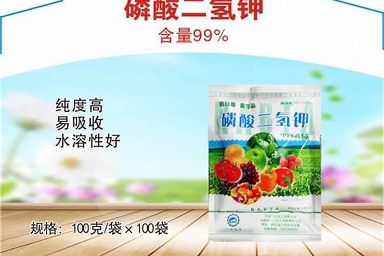 绿萝吊兰···乱施肥,跟喂毒药没两样,养1盆死1盆!