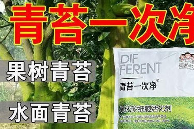磷肥可以杀青苔吗