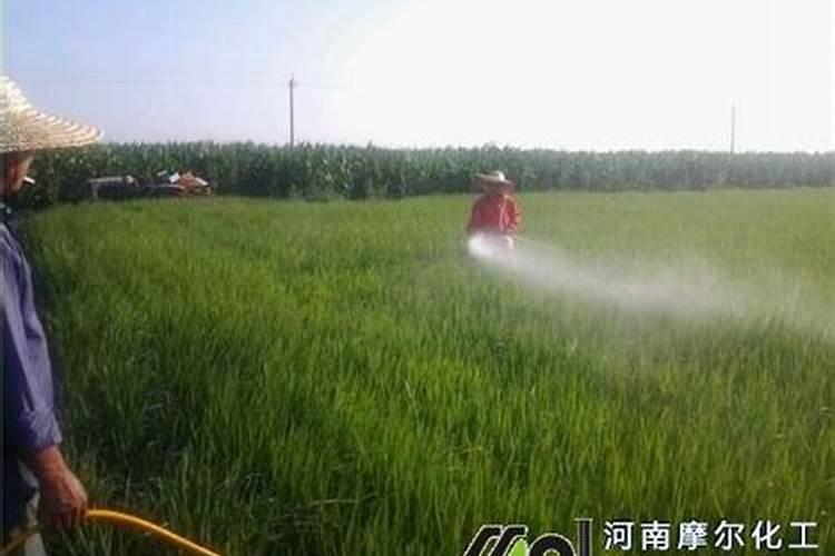 100亩绿化一年需要多少化肥