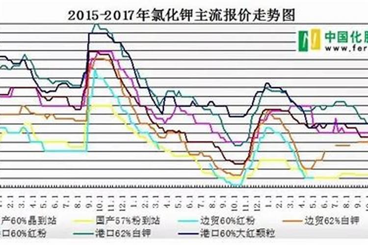 三角梅小苗批发价多少钱一棵？怎样扦插三角梅？