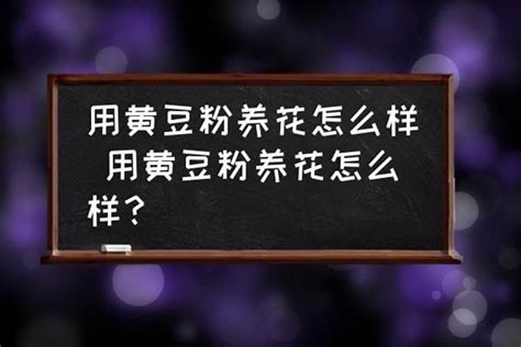 黄豆煮熟直接埋进花盆当肥料可以吗