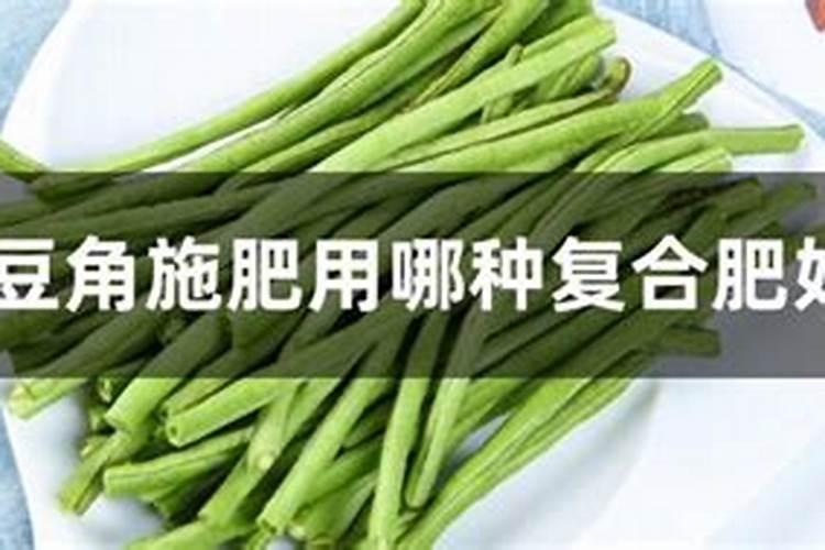 豆角开花期施什么肥
