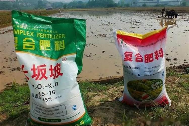 茄子为何一炒就变色？学会这一招,色香味俱全还省油