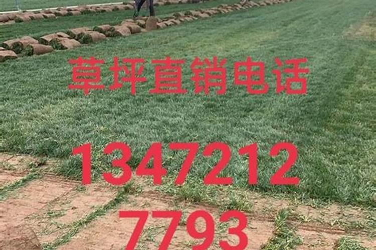 腐植酸和黄腐酸的区别