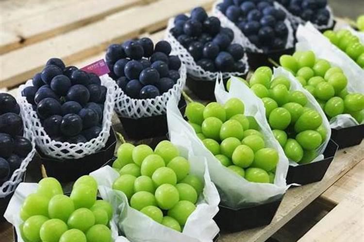 苹果树三月份应该上什么肥料