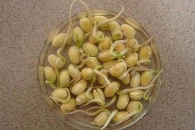 兰溪市蓝雅食用菌专业合作社怎么样？