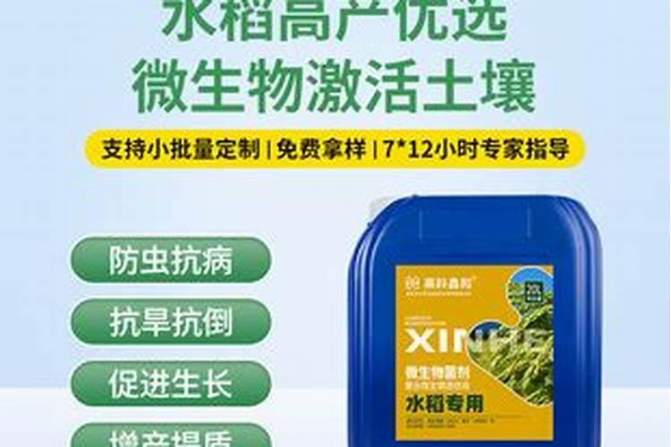 油菜打硼肥什么时候打好