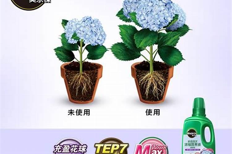 叶面肥每亩使用量是多少