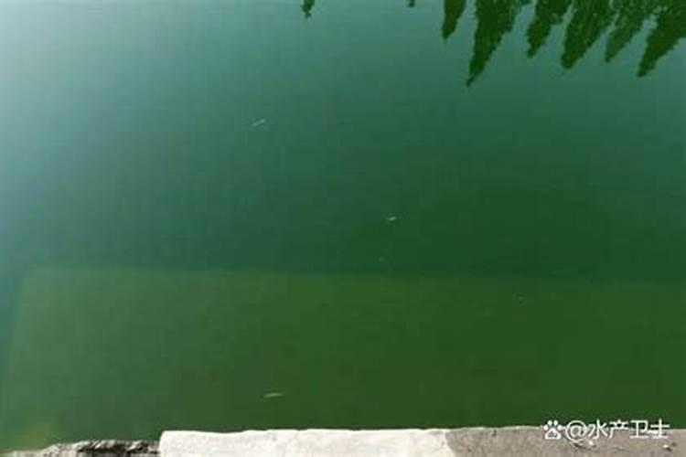 大豆几天浇一次水 大豆多少天浇一次水
