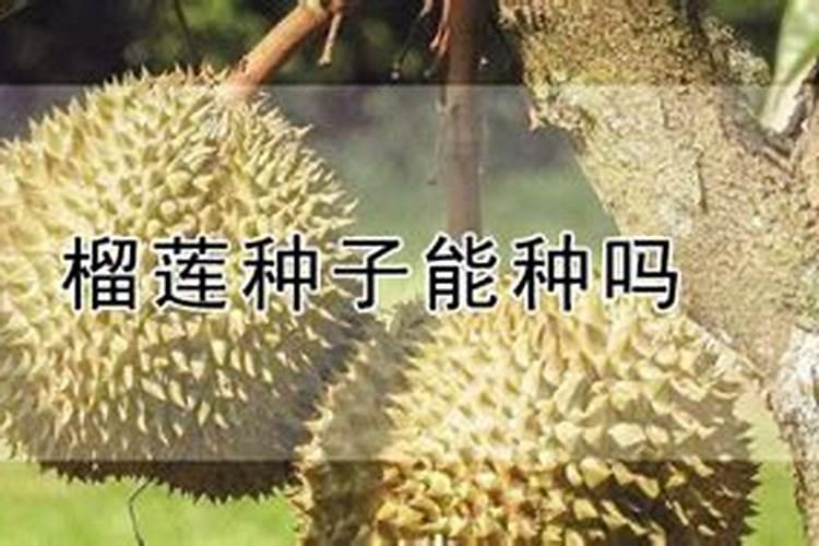 磷对作物品质有着什么作用？
